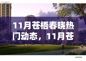 11月苍梧春晓热门动态下的多元观点探析——聚焦热门动态与观点探析