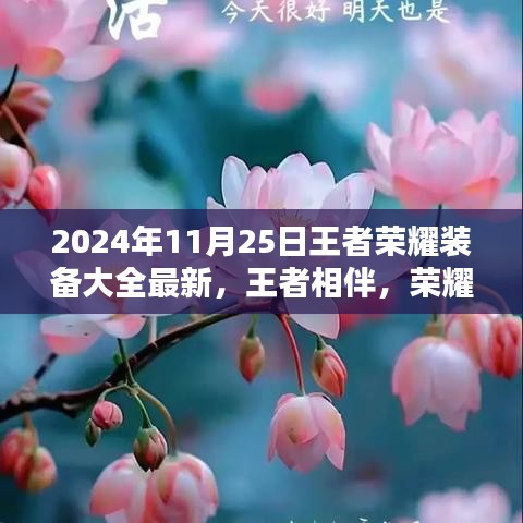 王者相伴，荣耀装备下的暖心日常 2024年王者荣耀装备最新指南