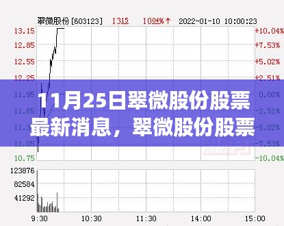 翠微股份最新动态解析与展望，深度解析股票消息及领域地位展望（11月25日）