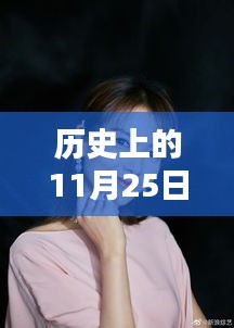 历史上的11月25日刘涛热门图片，历史上的十一月二十五日，探寻刘涛经典瞬间之美