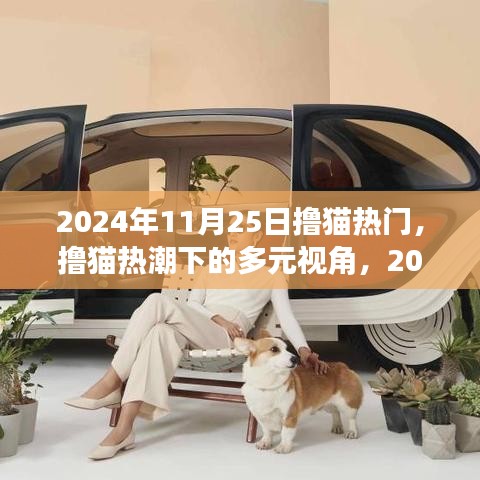 撸猫热潮下的多元视角，2024年11月25日的观察与思考