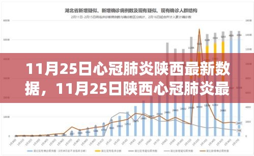 陕西新冠肺炎最新数据报告（截至11月25日），疫情动态分析与防控洞察