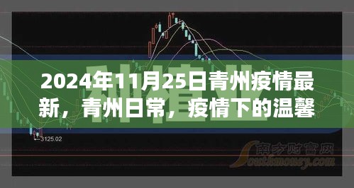 青州疫情下的温馨时光与友情闪耀——青州日常最新疫情报道