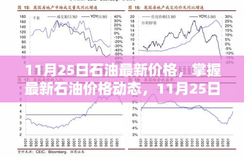 11月25日石油最新价格，掌握最新石油价格动态，11月25日石油价格查询与理解步骤指南（初学者与进阶用户适用）