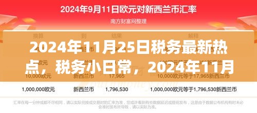 税务日常热点解析与温馨税务之旅，聚焦2024年11月25日