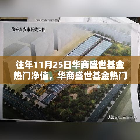 华商盛世基金热门净值解析，十一月二十五日数据一览