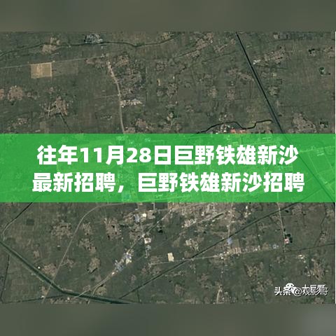 巨野铁雄新沙招聘应聘全程指南，从入门到成功应聘揭秘