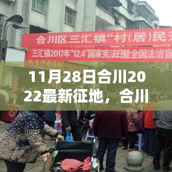 合川最新征地动向深度解析与观点阐述，2022年11月28日合川征地最新消息