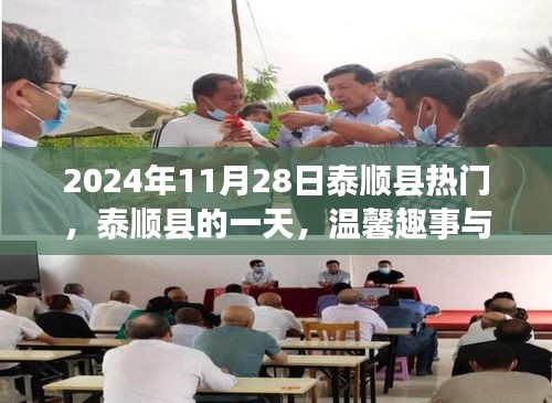 2024年11月28日泰顺县热门，泰顺县的一天，温馨趣事与深厚友情