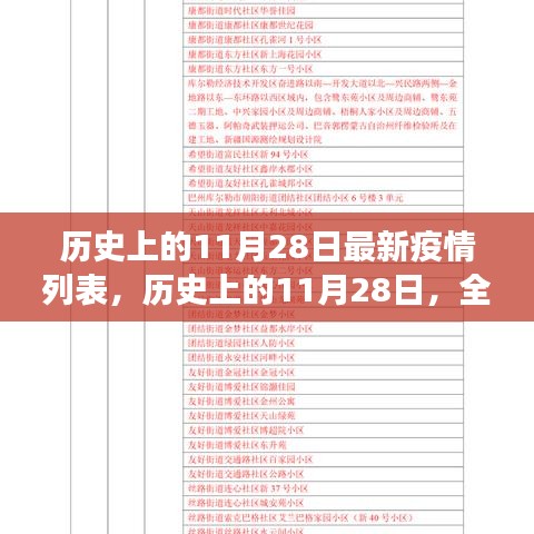 历史上的11月28日全球疫情概览与最新发展列表