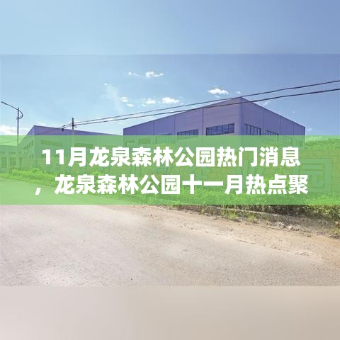 龙泉森林公园十一月热点聚焦，生态保护进步与争议引发关注