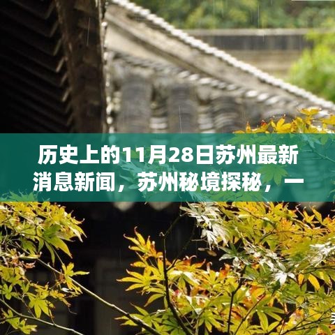 苏州秘境探秘，自然美景与历史交汇的奇妙旅程——最新新闻回顾与揭秘日（11月28日）