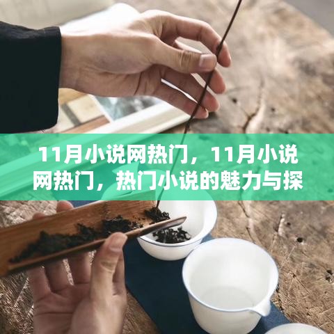 11月小说网热门，11月小说网热门，热门小说的魅力与探索