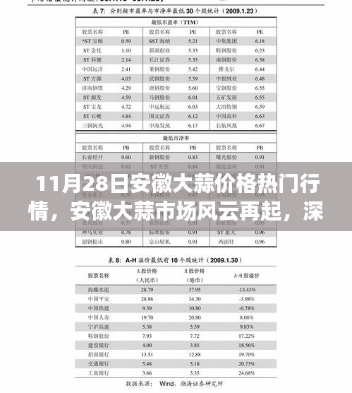 安徽大蒜市场风云再起，价格走势深度解读与行情热议