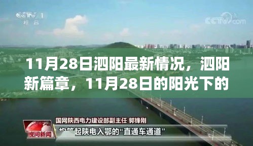 泗阳新篇章，阳光下的励志故事与自信铸就的成就（11月28日最新情况）