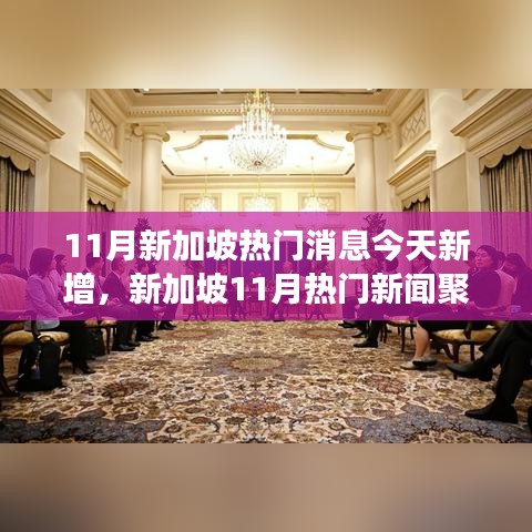 11月新加坡热门新闻聚焦，今日新增事件深度解析与个人观点阐述