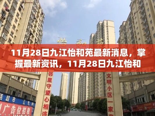 11月28日九江怡和苑最新消息全攻略，掌握最新资讯