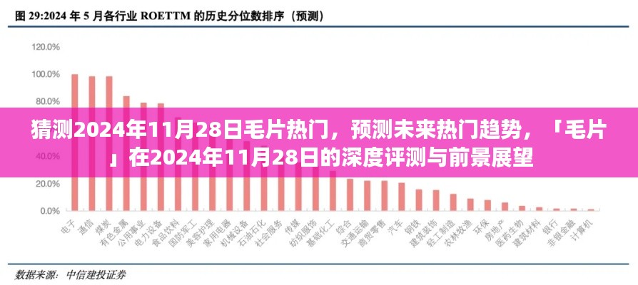 2024年11月28日毛片热门趋势预测及深度评测，展望美好未来