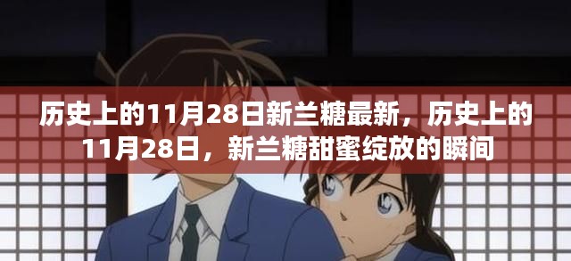 历史上的11月28日，新兰糖的甜蜜瞬间回顾