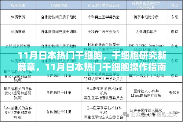 11月日本热门干细胞研究新篇章与操作指南，从初学者到进阶用户的必备指南