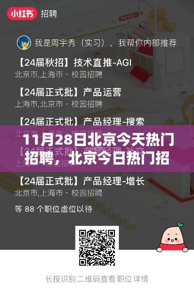 北京今日热门招聘大盘点，超火热职位挑战与小红书求职攻略热议