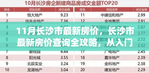 长沙市最新房价指南，从入门到精通，11月房价查询全攻略