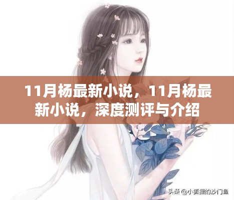 11月杨最新小说深度测评与介绍