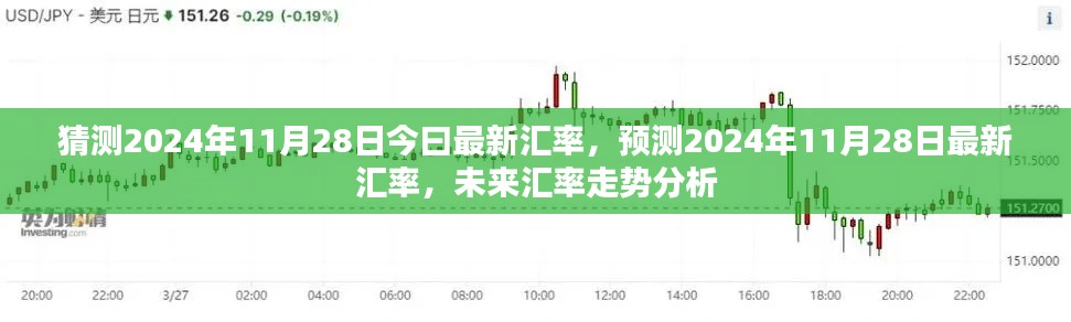 2024年11月28日最新汇率预测及未来走势分析