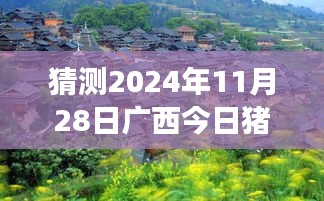 2024年广西最新猪价与小巷特色美食冒险之旅