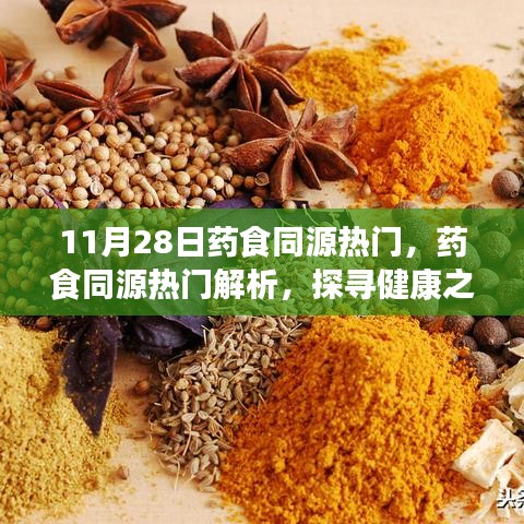 药食同源热门解析，探寻健康新焦点（11月最新动态）