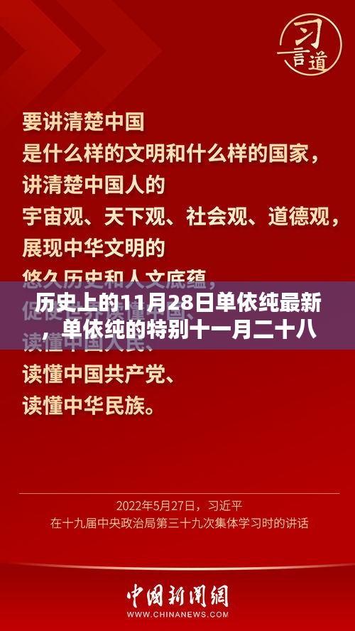 单依纯的特别十一月二十八日，历史中的温馨日常与友情闪耀时刻回顾