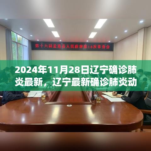 2024年11月28日辽宁最新肺炎确诊动态及要点分析