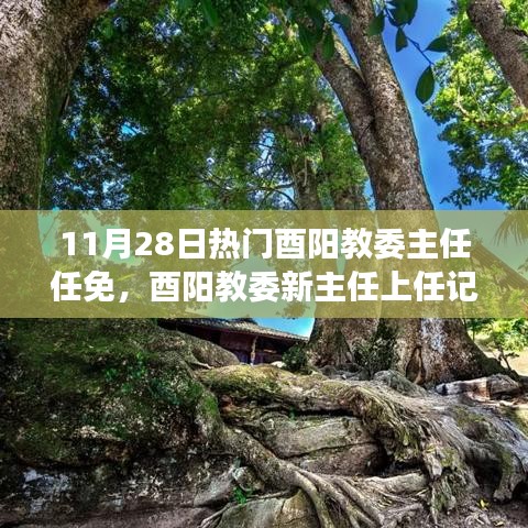 11月28日热门酉阳教委主任任免，酉阳教委新主任上任记，一场自然美景的探索之旅