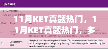 11月KET真题热门解析与立场阐述，多方观点探讨