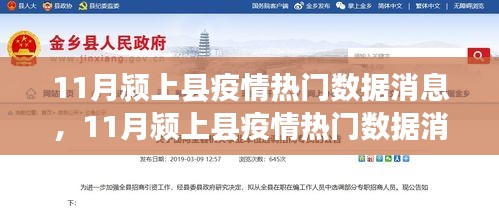 深度解析，11月颍上县疫情数据报告——特性、体验与用户群体评测