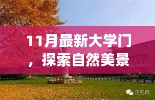 11月最新大学门，探索自然美景之旅，打开心灵之门，开启一场宁静的冒险之旅