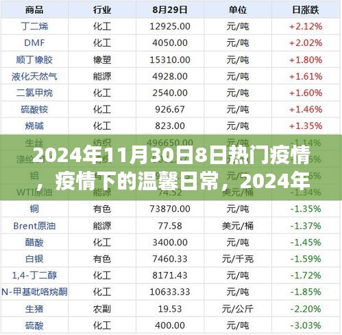 疫情下的温馨日常，2024年11月30日的快乐时光