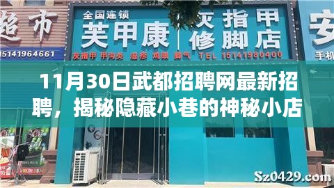 揭秘隐藏小巷的神秘小店，武都招聘网带你探寻最新招聘信息与独特环境体验日活动开启！