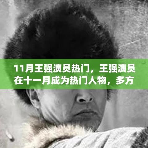 11月王强演员热门，王强演员在十一月成为热门人物，多方观点解析与个人立场阐述