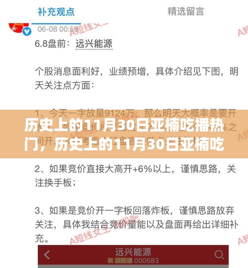 历史上的11月30日亚楠吃播热门事件深度解析与观点探讨