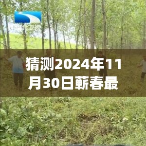 揭秘蕲春未来蓝图，2024发展规划图下的展望与温馨日常