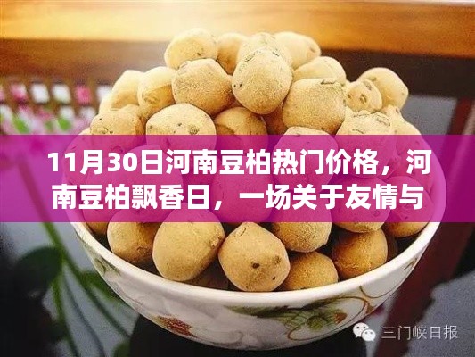 河南豆柏飘香日，友情与温馨价格的奇妙旅程