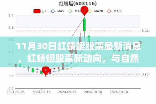 红蜻蜓股票最新动向，与自然共舞，启程心灵旅行时刻