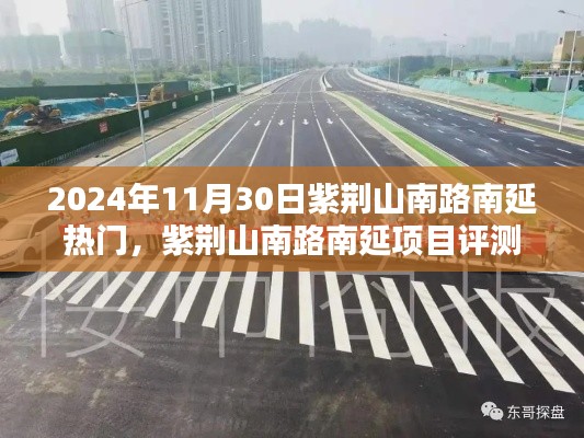 2024年11月30日紫荆山南路南延热门，紫荆山南路南延项目评测，2024年11月30日的亮点与考量