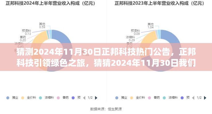 正邦科技绿色之旅揭秘，预测2024年11月30日的热门公告