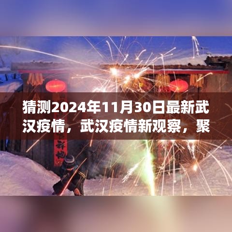 猜测2024年11月30日最新武汉疫情，武汉疫情新观察，聚焦2024年11月30日的预测与回顾