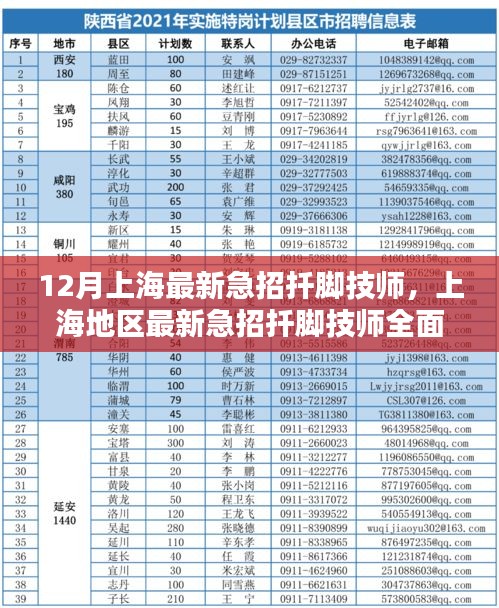 12月上海最新急招扦脚技师，上海地区最新急招扦脚技师全面评测与介绍