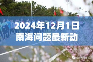 南海争端最新动态解析，聚焦各方观点与最新进展，2024年12月南海问题深度分析