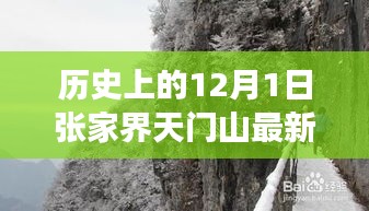 揭秘，张家界天门山历史上的12月1日最新招聘及其背后故事