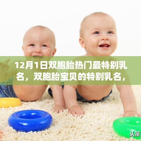 双胞胎宝贝的温馨日常故事与独特乳名分享